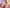 PREORDER Lemongrass the lemon shark Sugarbell Pal plush