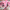 PREORDER: Misprint/dark eyebrow Snowcone plush